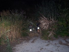 Und die Mopeds auch noch hinter Grashalmen versteckt, nur die Kennzeichen haben wir Experten nicht abgeklebt...