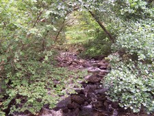 Kleine Wanderung in der Nähe von Loch Lomond (1).