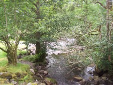 Kleine Wanderung in der Nähe von Loch Lomond (2).