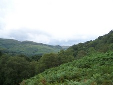 Kleine Wanderung in der Nähe von Loch Lomond (6).