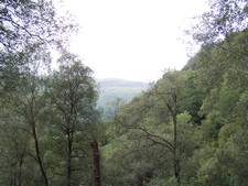 Kleine Wanderung in der Nähe von Loch Lomond (14).