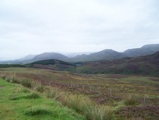In den Highlands (15).