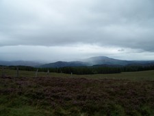 In den Highlands (16).