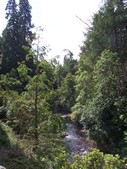 Cawdor Castle (7).