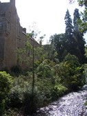 Cawdor Castle (9).
