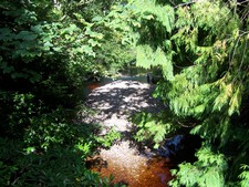 Cawdor Castle (10).