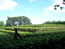 Cawdor Castle (12).